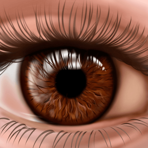Thierry eye