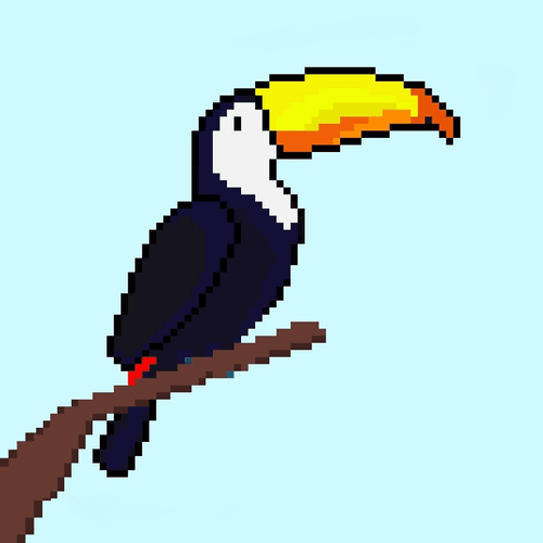 Wild Toucans