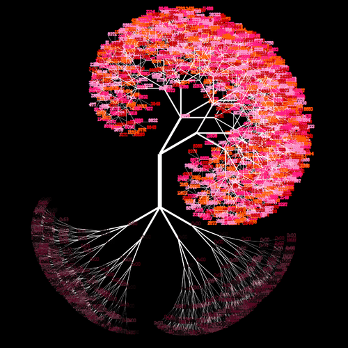 TOKEN TREES