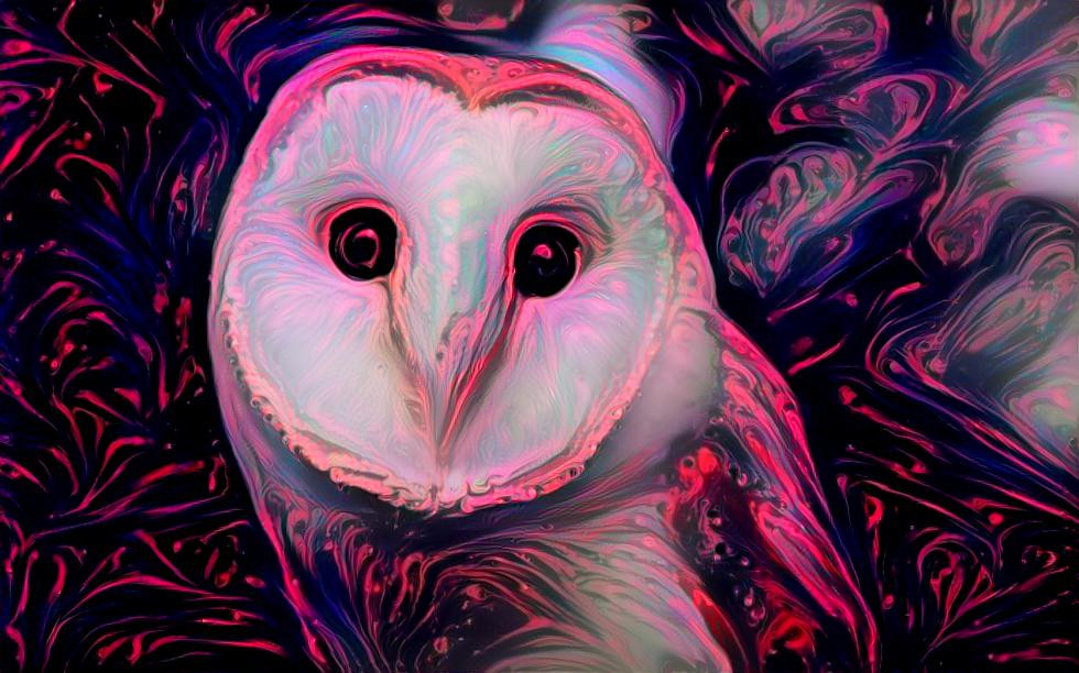 Glow Owl