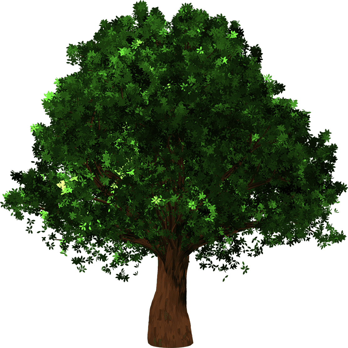 Tree Artwork Collection OpenSea