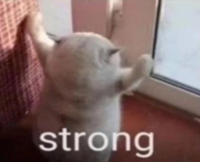 strong_meow