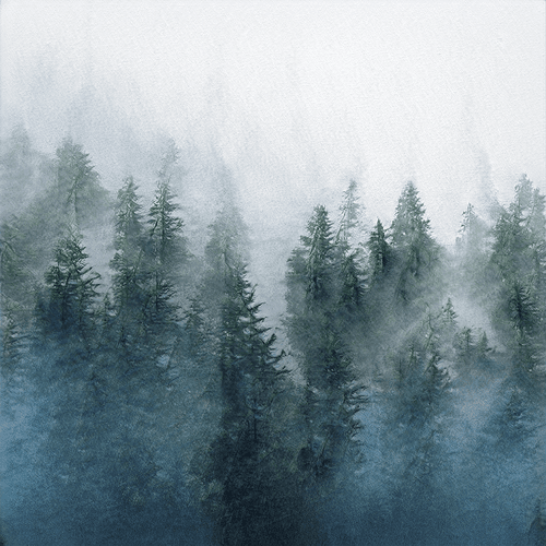 Mėnuo [2021] :: CWS x Ivona Tau 