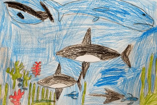 WillBe NFT Project - december 2021 - killer whales
