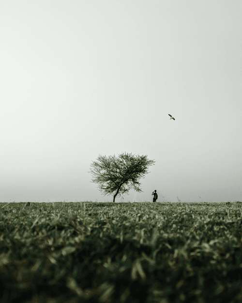 MINIMAL MOMENTS