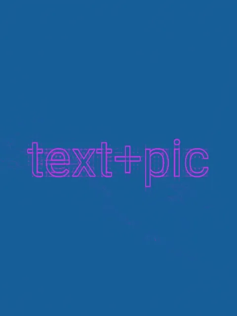 text+pic