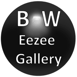 Black and White Eezee Gallery collection image