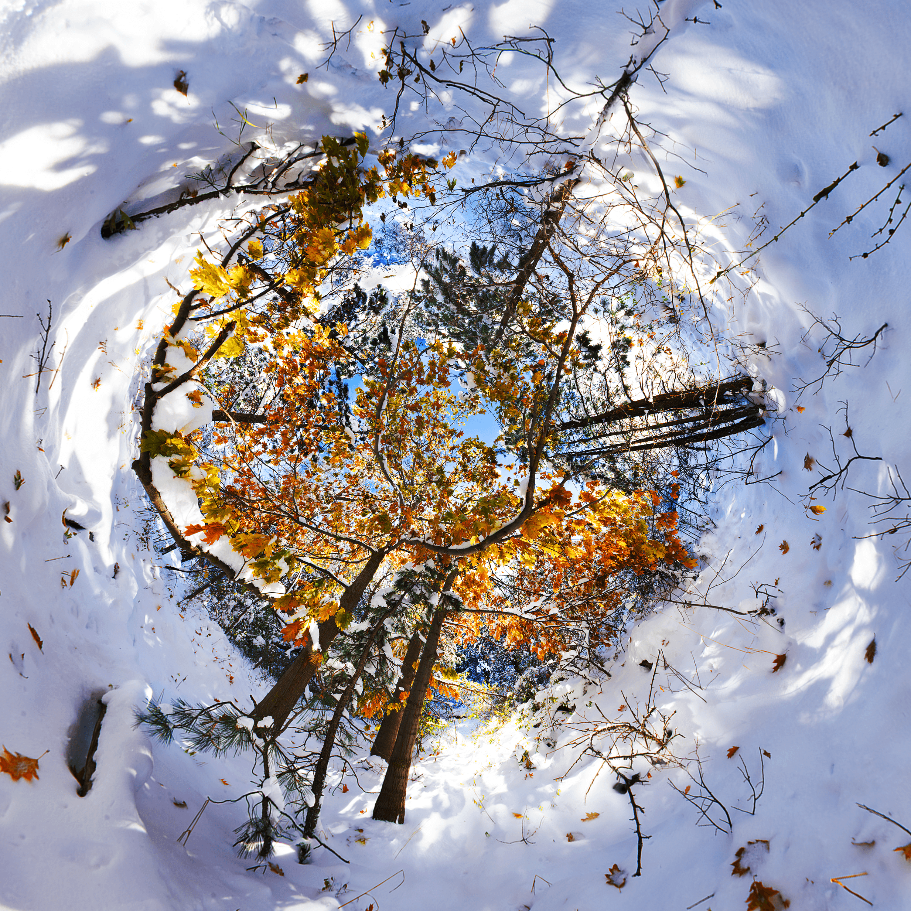Stereographic Memory #6