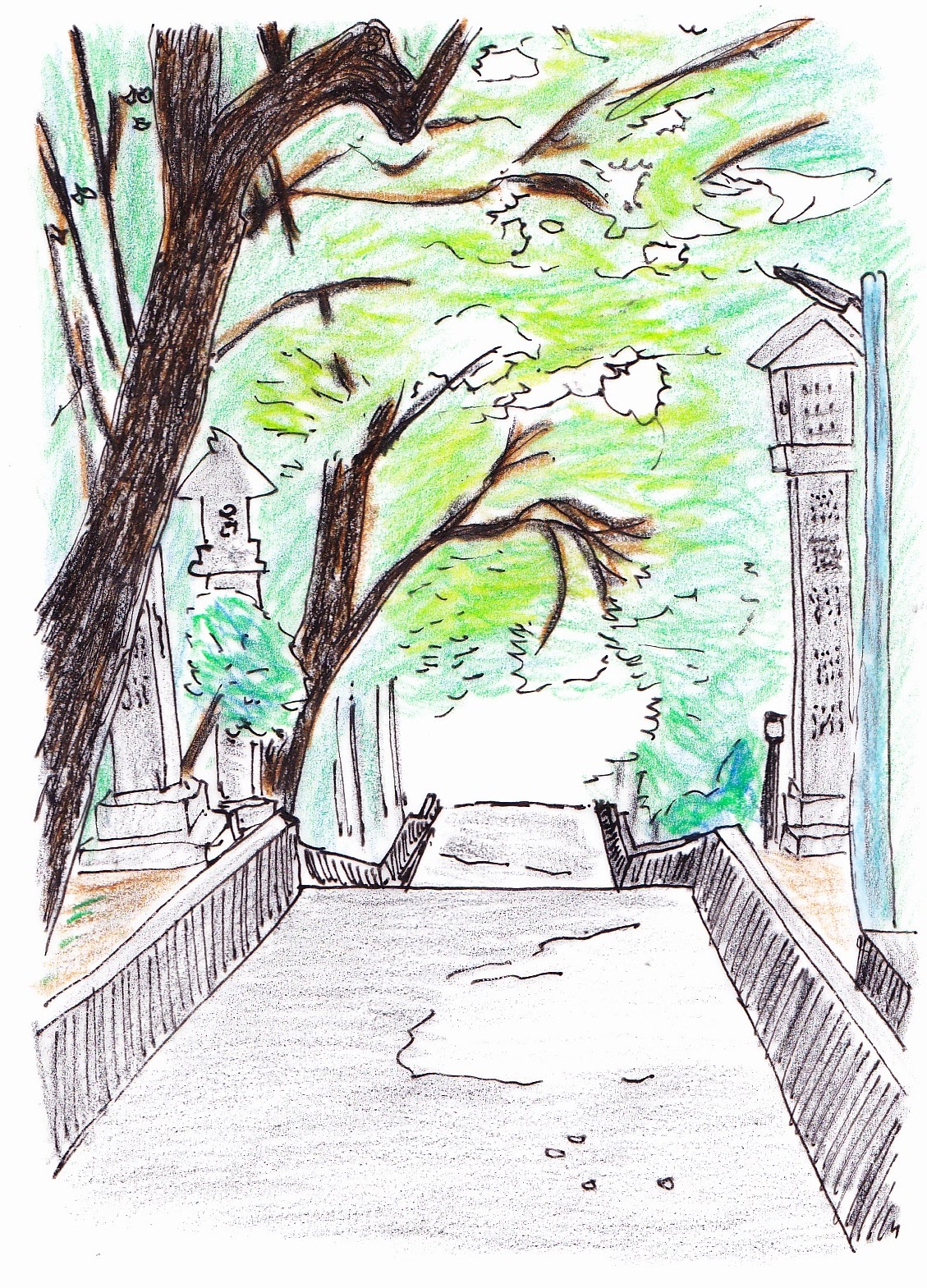 The approach to the shrine is a tunnel of trees　～神社の参道は樹のトンネル～