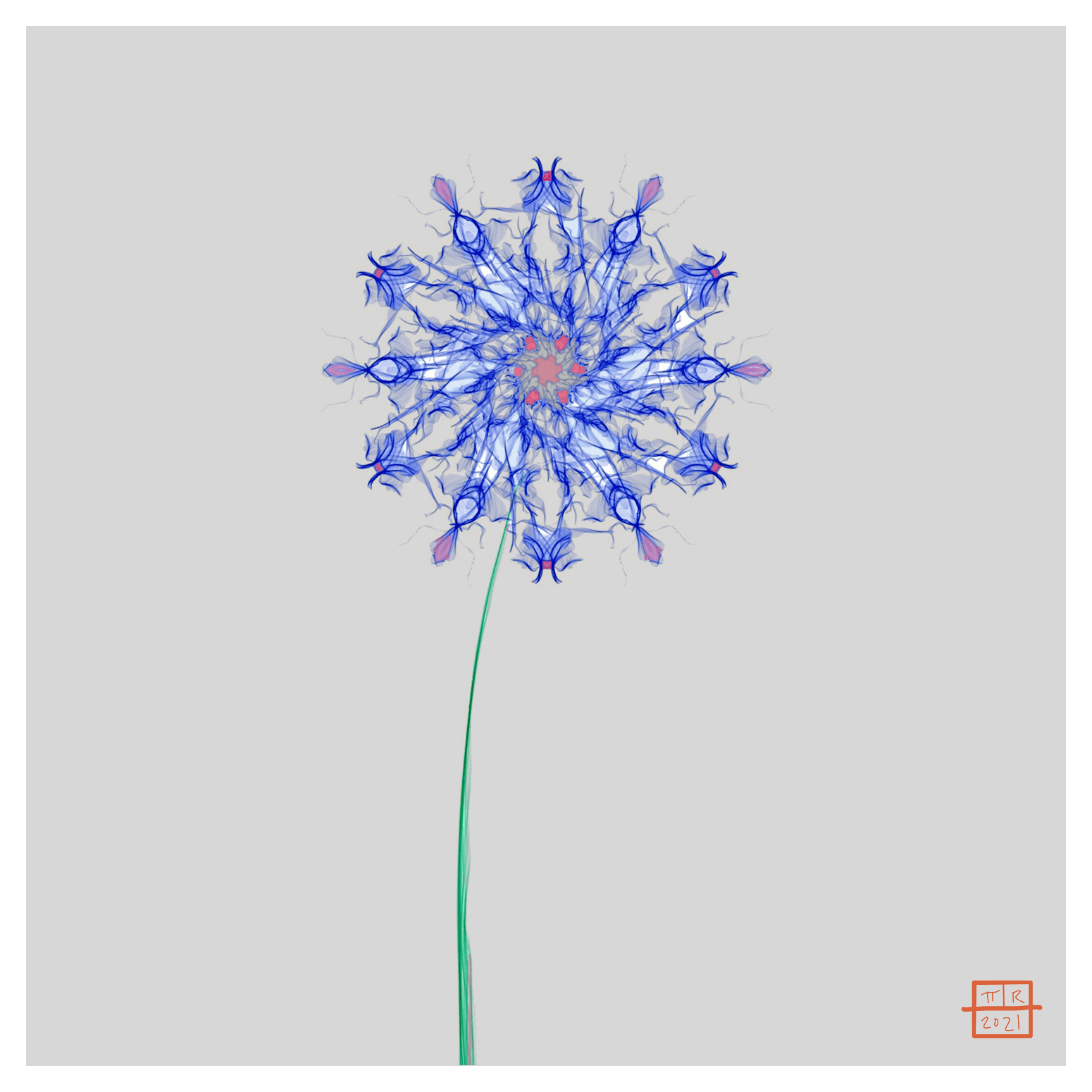 Blue Dandelion