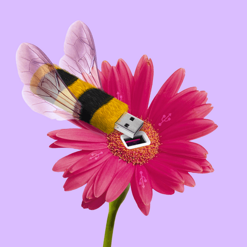 Pollination