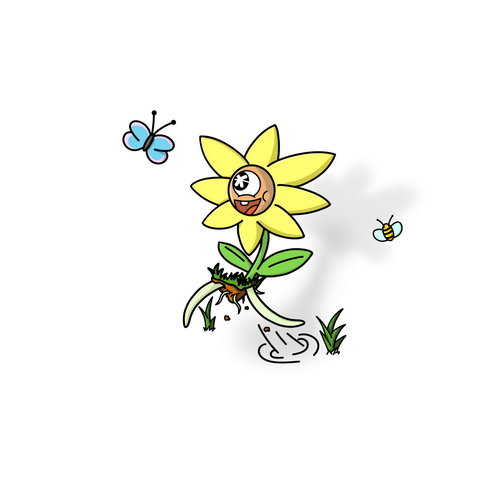 Sunny