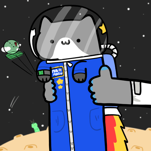 Long long astronaut cat #078