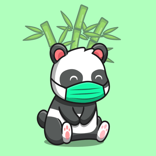 panda image