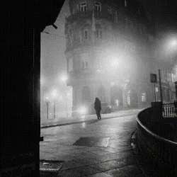 Oporto untold stories under the fog collection image