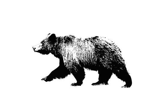 Wildlife of the West