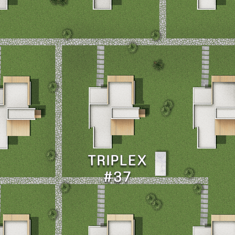 Triplex #37