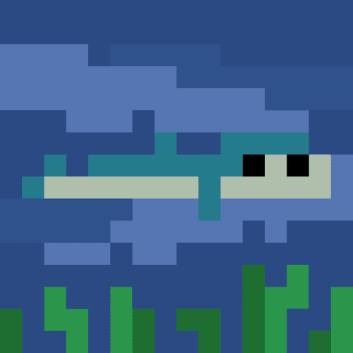 tiny barracuda