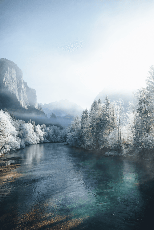 Winter