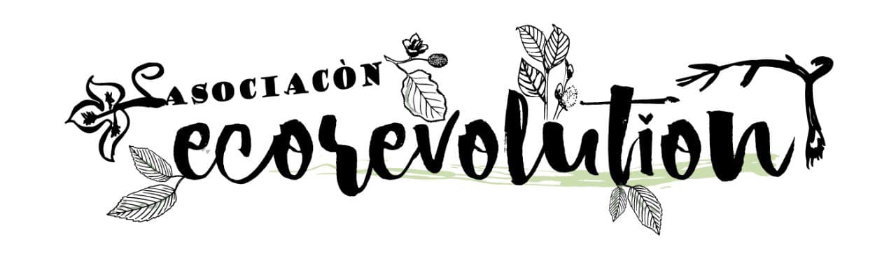 EcoRevolution banner