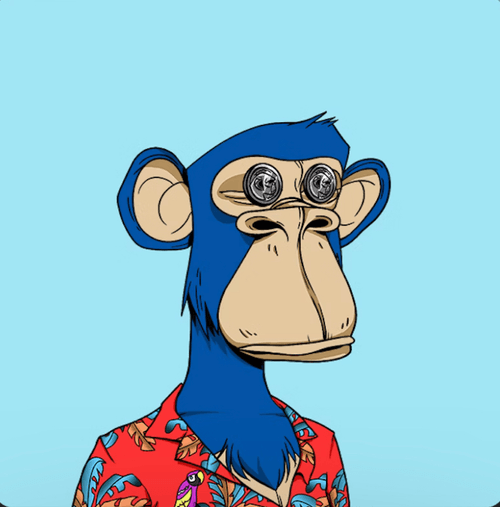 money Monkey#0001