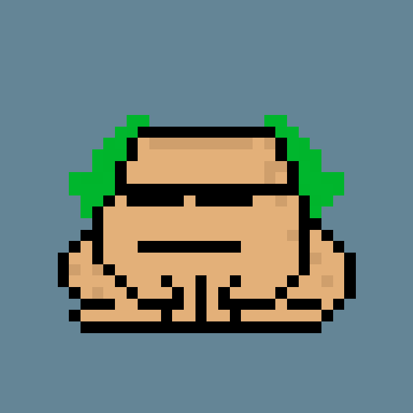 Toad Punks #2207