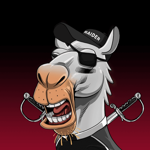 Raider Camel