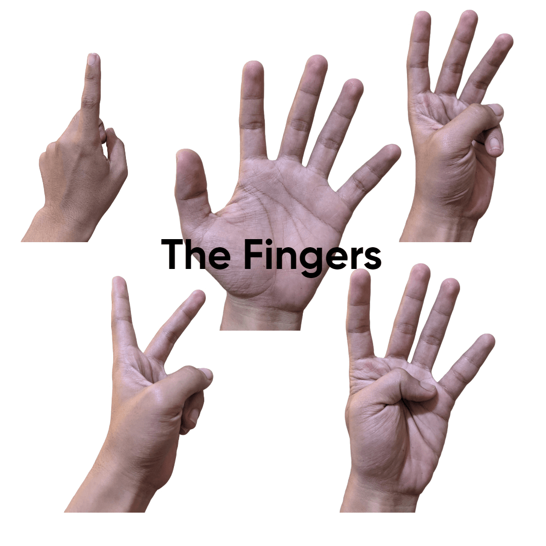 The Fingers of Mine - Collection | OpenSea