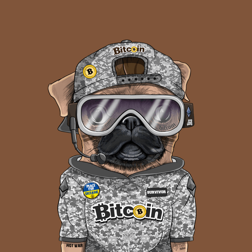 Pug #0033