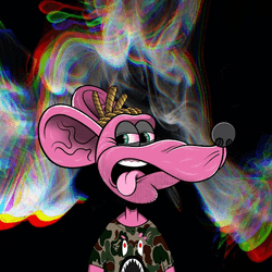 Conja Sewer Rat Derivitives collection image