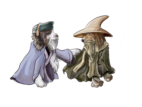 Wizard Doodz