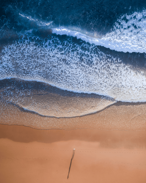 Palm Beach Stroll