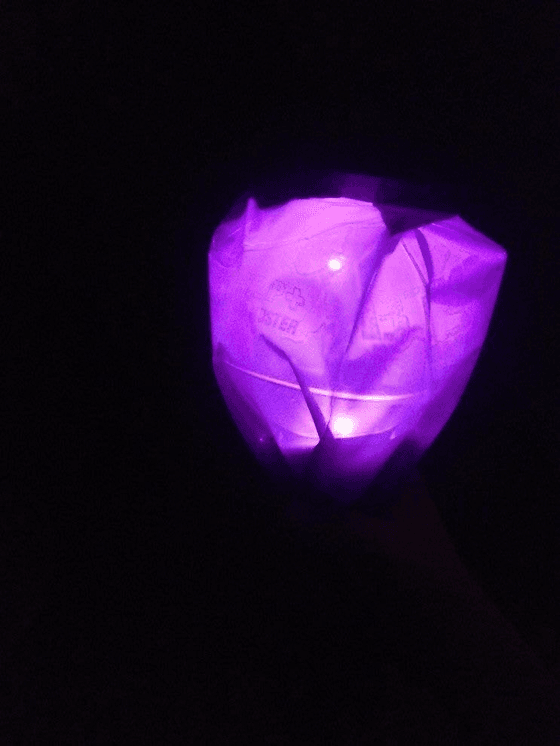purplebellevanillasky