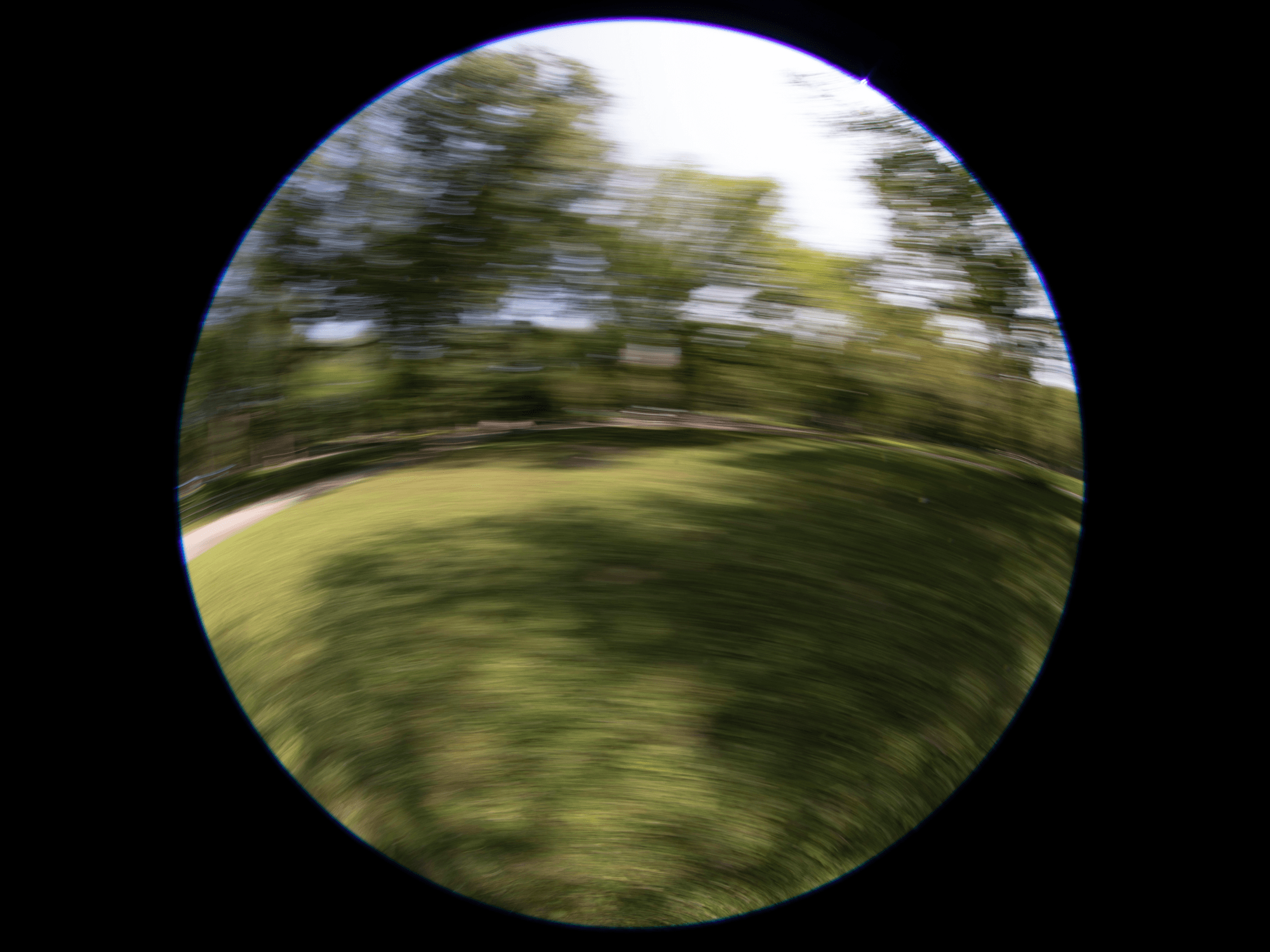 central-park-nyc-a14-central-park-nyc-collection-opensea