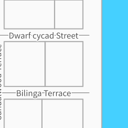 2 Dwarf cycad Street