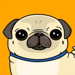 Dito the Pug collection image