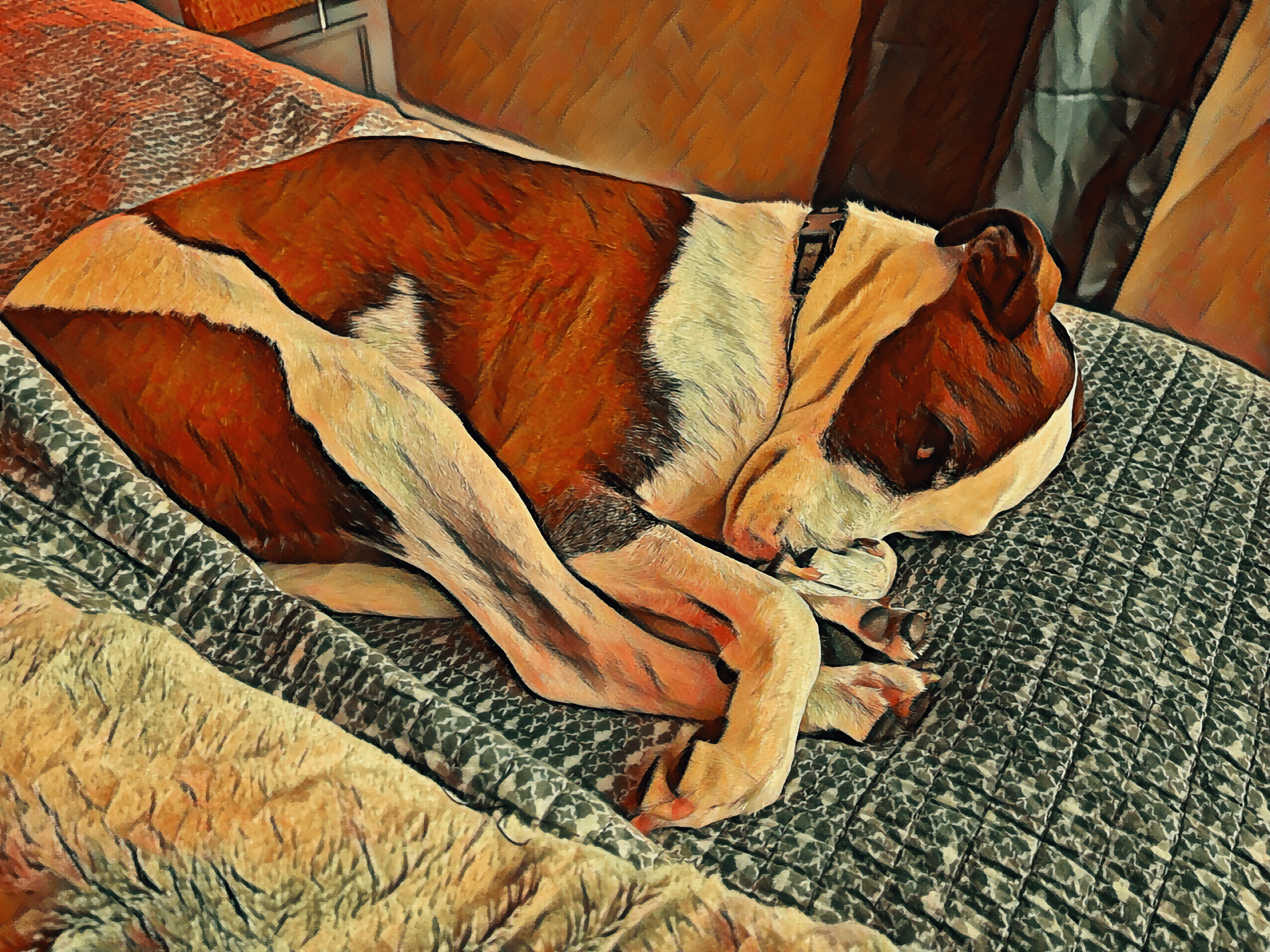 Codie The Pitbull of Peace Digital Pastel Photo Art by Brian Cimins