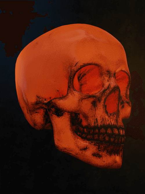 Skulls3D #13