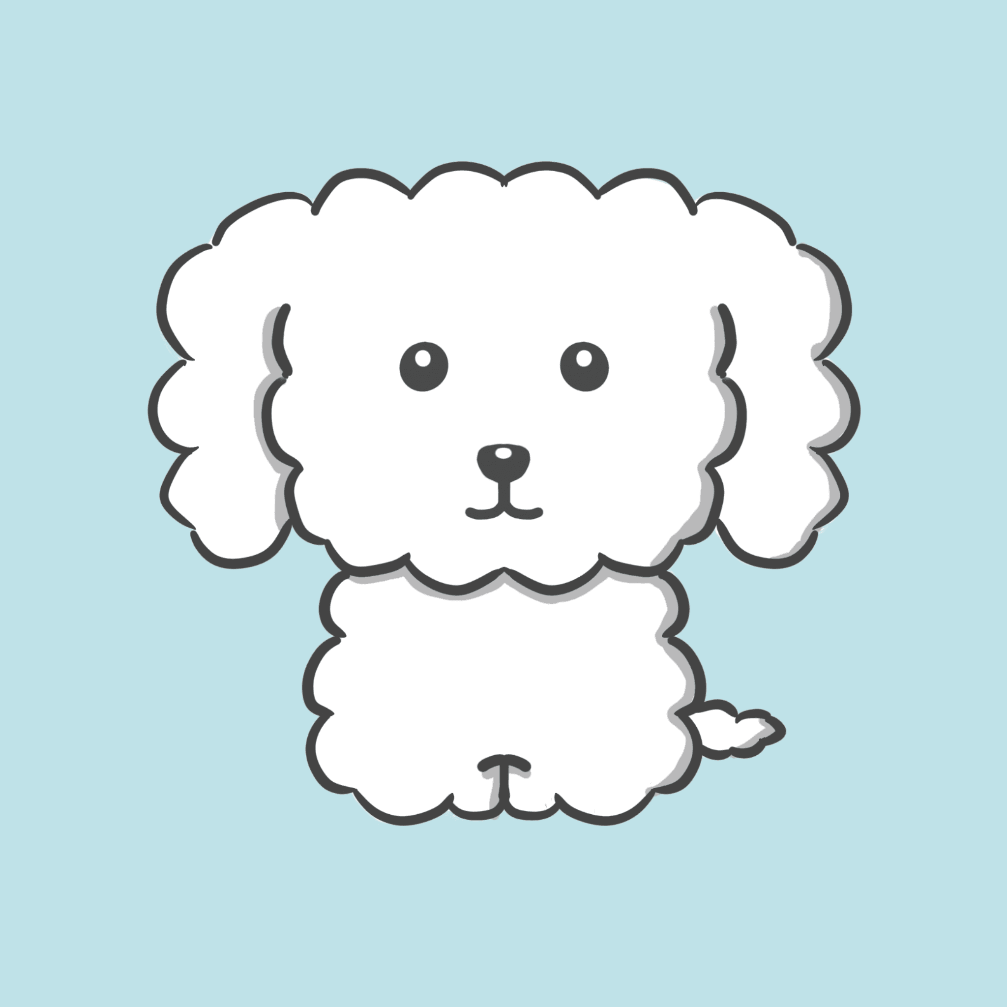 Coco_the_Poodle - Collection | OpenSea