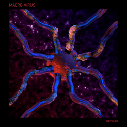 MACRO VIRUS collection image