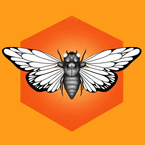 Cicada Summer