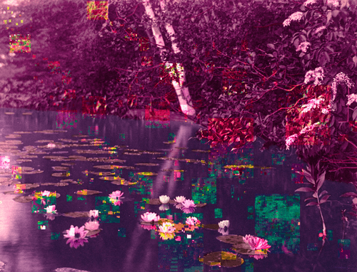 Postcards from heaven