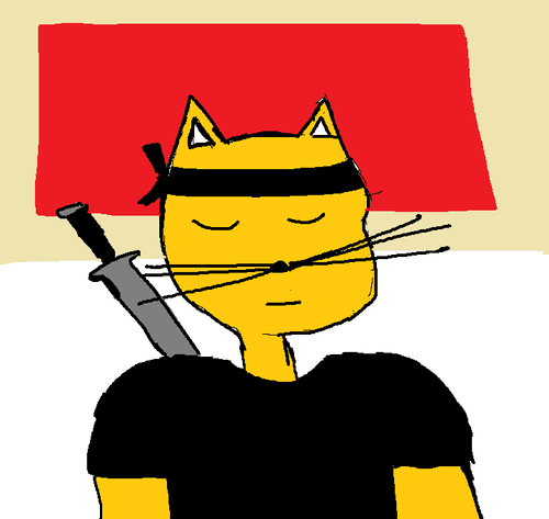 #113 - Ninja Cat