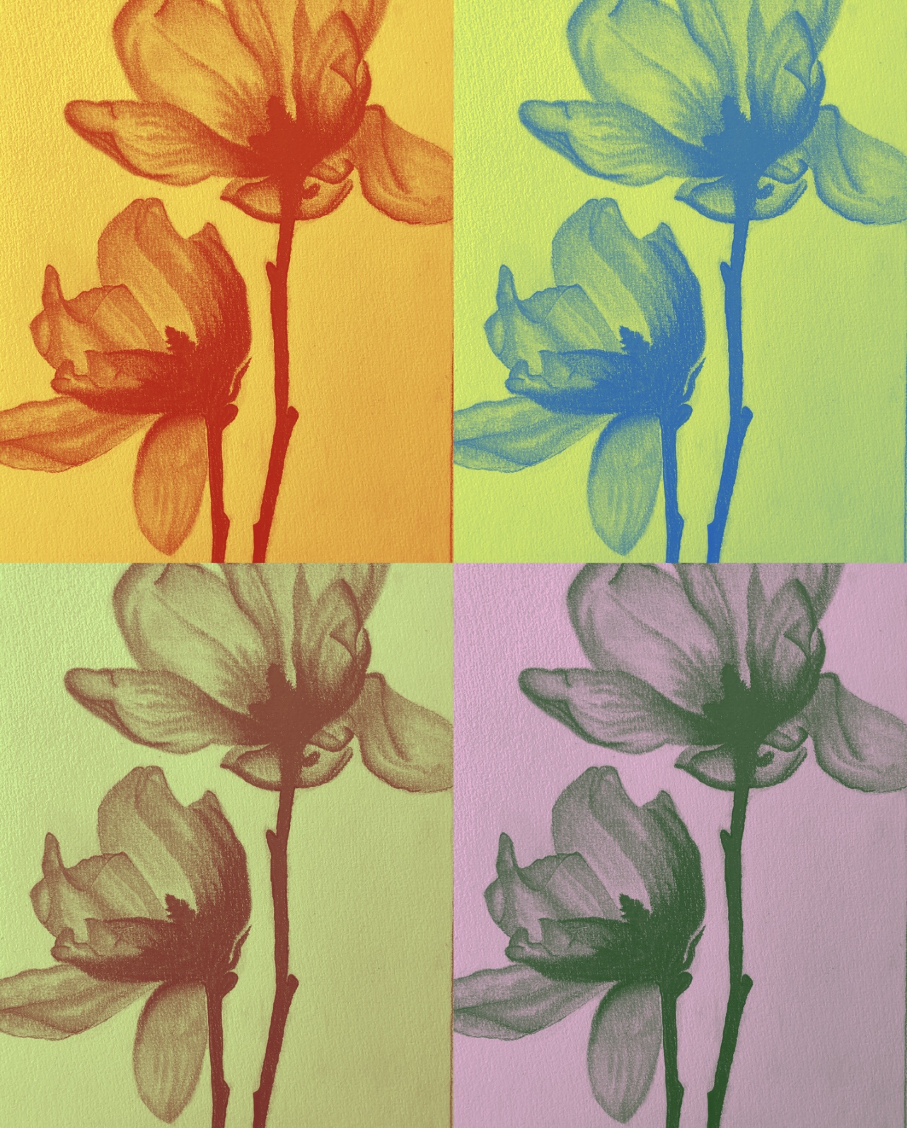 flower-artwork-collection-collection-opensea