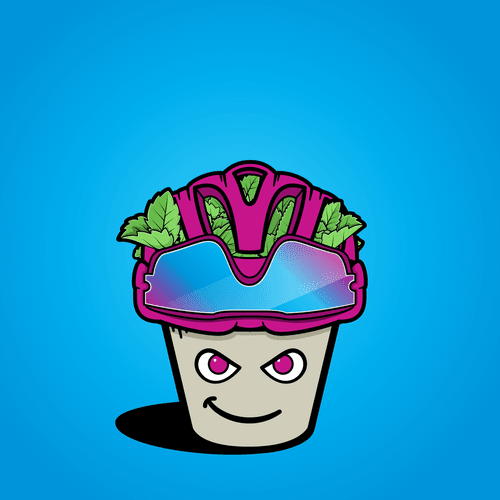 #6 ( 🚴 Aero 🚴 -ponics)