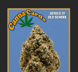 CannaCards420 collection image