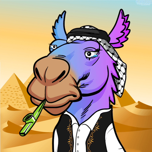 Dubai Camel #2492