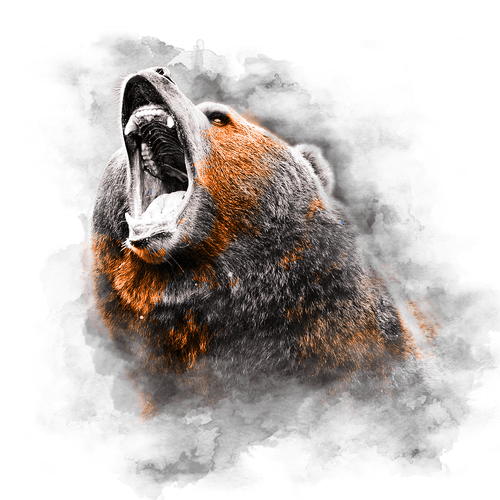 ORANGE SERIES - BEAR