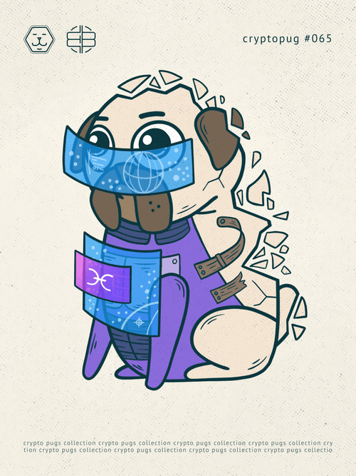 Crypto pug HOT
