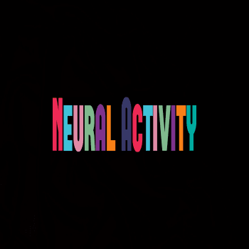 Neural Activity